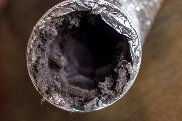 Best Professional Duct Cleaning Services  in Shorewood, WI